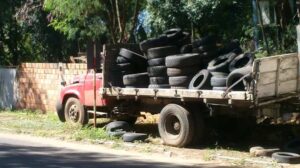 Imagen del “que me importa” – Criaderos de mosquitos al por mayor