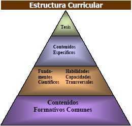 Estructura Curricular de la Politecnica 