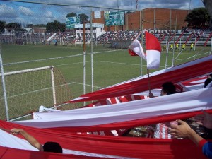 Rayadito