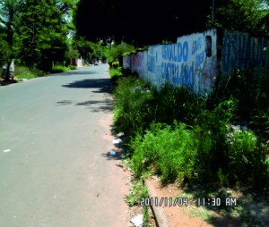 vereda con malezas 2