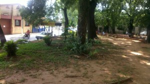 Parte que da a la calle Cnel Bogado da una pésima imagen