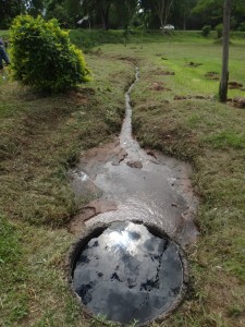 Los alrededores del manantial serán arborizados este jueves 21 conmemorando el Día del Agua. (Imagen "Plantemos Conciencia" del facebook, http://www.facebook.com/events/438057362945160/