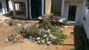 La basura es propicia para criaderos de mosquito y diferentes alimañas