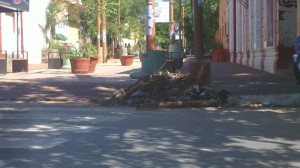 La basura esta a la entrada de la peatonal y casi frente a la Catedral de San Lorenzo. (Click para agrandar)