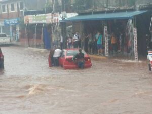 Avenida Del Agrónomo frente al super Stock. (Imagen Mirta Cabral F)