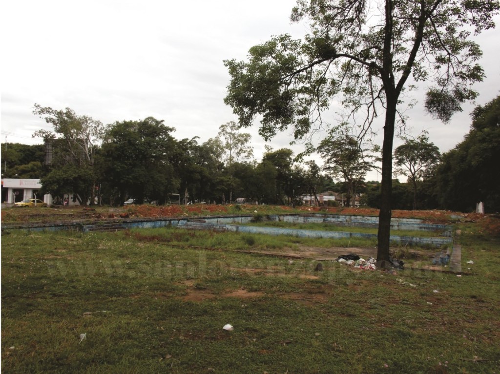 Poco a poco fueron volteados añejos árboles que estaban en el predio.