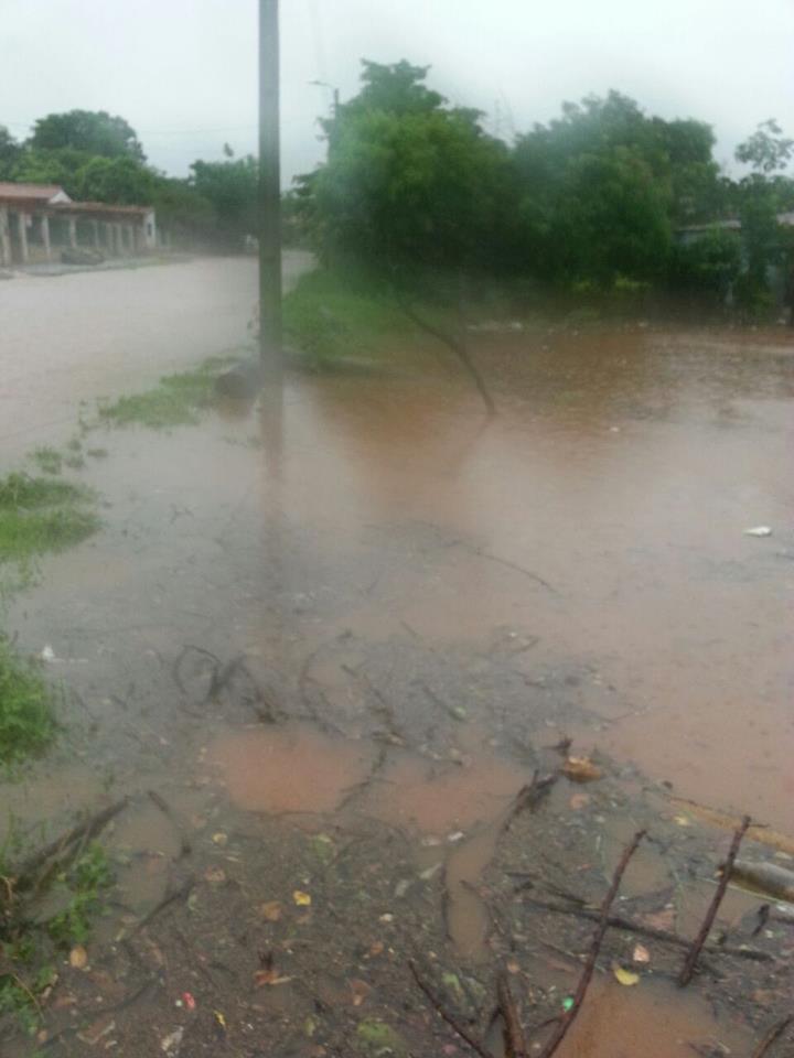 Parte de la basura flota en el agua que va quedando cuando deja de llover