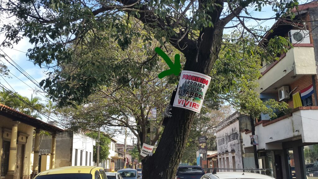 Desde que instalaron algunos letreros el paseo central esta libre de bolsas de basuras.