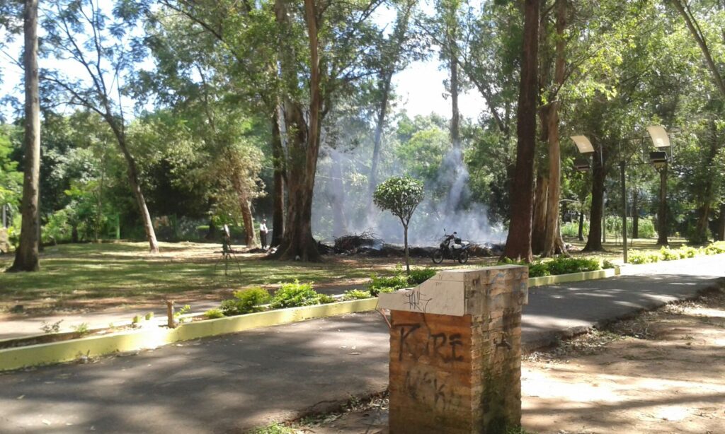 Humo creado por la basura quemada dentro de la ciclovia municipal (Imagen gentileza Sergio Trinidad)