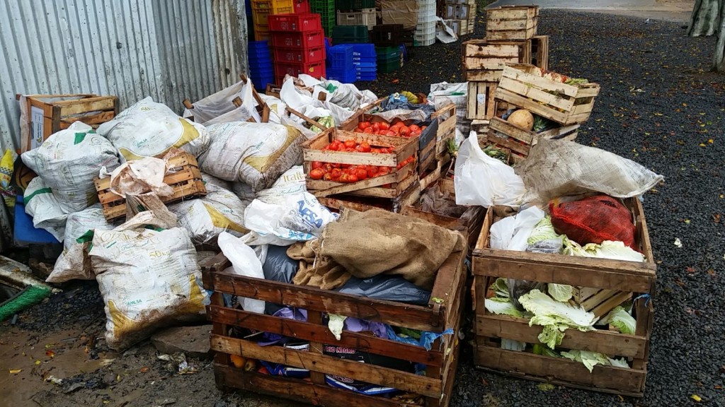 Parte de los residuos amontonados en el patio trasero (Imagen gentileza)