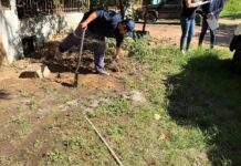 ESSAP anuncia cortes de agua para usuarios morosos en San Lorenzo y Luque