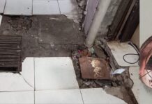 Crisis en el Mercado Municipal: Usuarios exigen barrida de «planilleros» y mantenimiento urgente