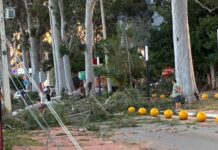 Vecinos de Capilla del Monte exigen una solución: «Cada vez que hay viento vivimos con miedo»